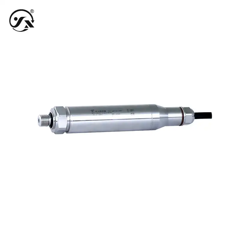 CYYZ32防护型压力变送器 - 图片 4