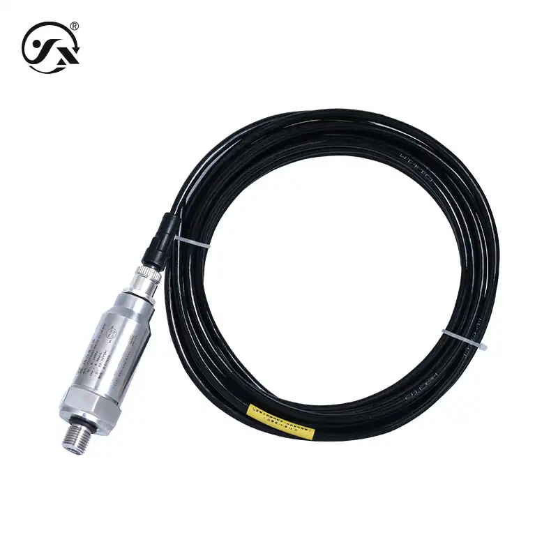 CYYZ39A高防护性压力变送器 - 图片 2